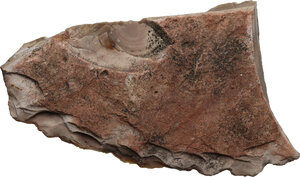 obverse: Neolithic stone chisel.  8.2 x 5 cm.  Stone age, Europe (?)