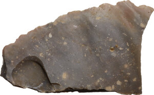 reverse: Neolithic stone chisel.  8.2 x 5 cm.  Stone age, Europe (?)