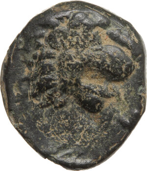 reverse: Troas, Antandros. AE 9 mm, 440-400 BC