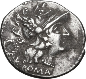 obverse: C. Servilius. AR Denarius, 136 BC