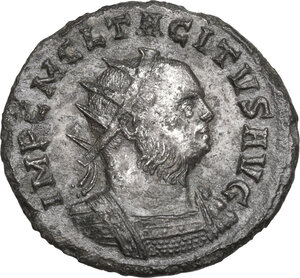 obverse: Tacitus (275-276).. BI Antoninianus, 275 AD