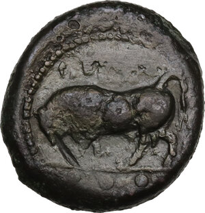 obverse: Gela. AE Tetras or Trionkion, c. 420-405 BC