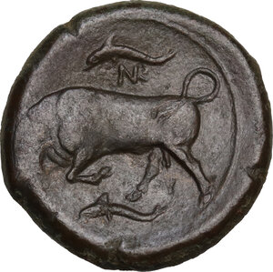 reverse: Syracuse.  Agathokles  (317-289 BC).. AE 22 mm, c. 317-310 BC