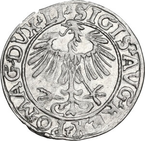 obverse: Lithuania.  Sigismund II (1544-1571).. AR 1/2 Gros, Vilnius mint, 1557