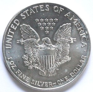 obverse: USA. Dollaro 1993. Oncia. Ag. 