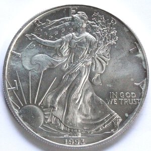 reverse: USA. Dollaro 1993. Oncia. Ag. 