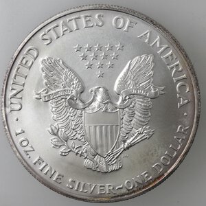obverse: USA. Dollaro 1996. Oncia. Ag. 