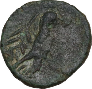 reverse: Northern Apulia, Salapia. AE 15 mm. c. 225-210 BC