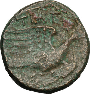 reverse: Northern Apulia, Teate. AE Biunx, c. 225-200 BC