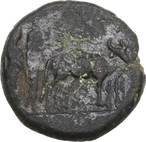 reverse: Augustus (27 BC - 14 AD) .. AE 18 mm, Uncertain (Philippi?)