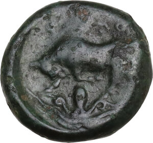 reverse: Northern Lucania, Posidonia. AE 12.5 mm. c. 420 -390 BC