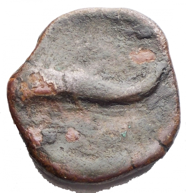 reverse: Mondo Greco. Apulia Salapia(Circa 275-270 a.C.)AE 19,4mm.D/ Cavallo a destra. R/ Delfino a sinistra. 6,02gr. HN Italy 685.RR.