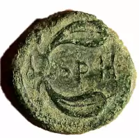 Reverse image
