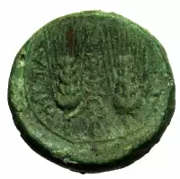 Reverse image