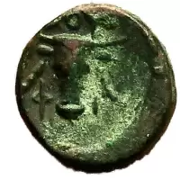 Reverse image
