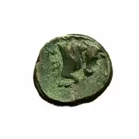 Reverse image