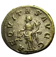Reverse image