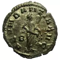 Reverse image