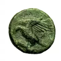 Reverse image