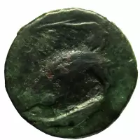 Reverse image