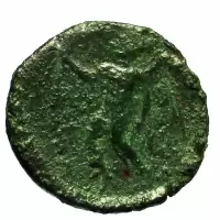 Reverse image