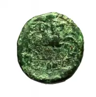 Reverse image