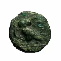 Reverse image