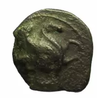 Reverse image