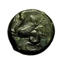 Reverse image