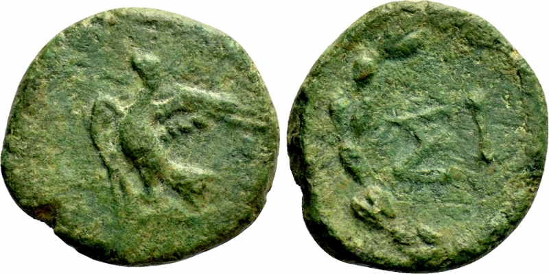obverse: Sikionia. Sikyon. Ae Chalkous  330-270 d.C.