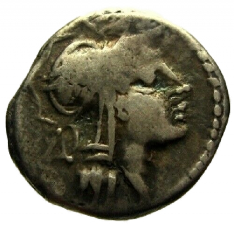 obverse: Repubblica Romana - Gens Junia. D Junius Silanus LF. 91 a.C. Denario