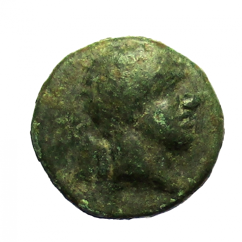 obverse: Mondo Greco. Lucania Herakleia 276-250 a.C.