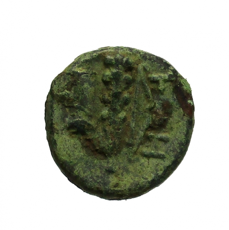 reverse: Mondo Greco. Lucania Herakleia 276-250 a.C.