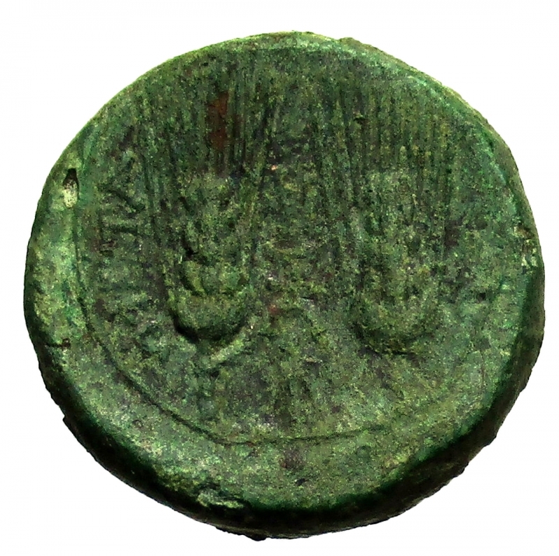 reverse: Mondo Greco. Lucania Metapontion 300-250 a.C.