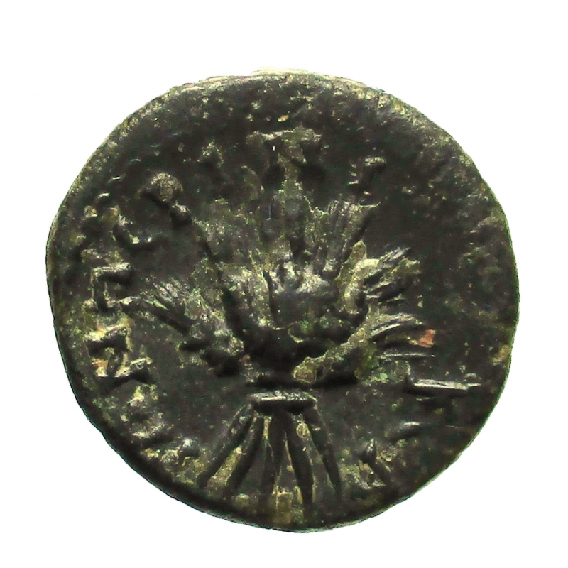 reverse: Impero Romano Domiziano 81-96 d.C. 