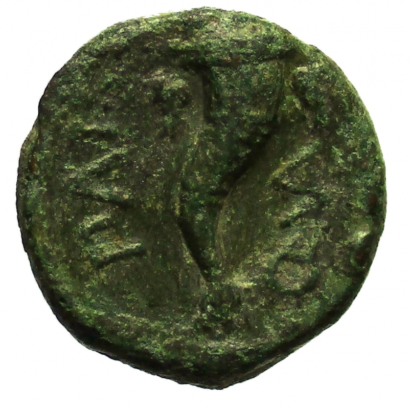reverse: Mondo Greco. Lucania. Paestum. 218-201 a.C. Triente.