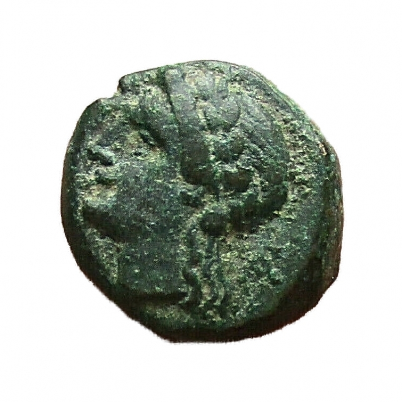 obverse: Mondo Greco. Lucania, Thourioi 280-250  a.C.