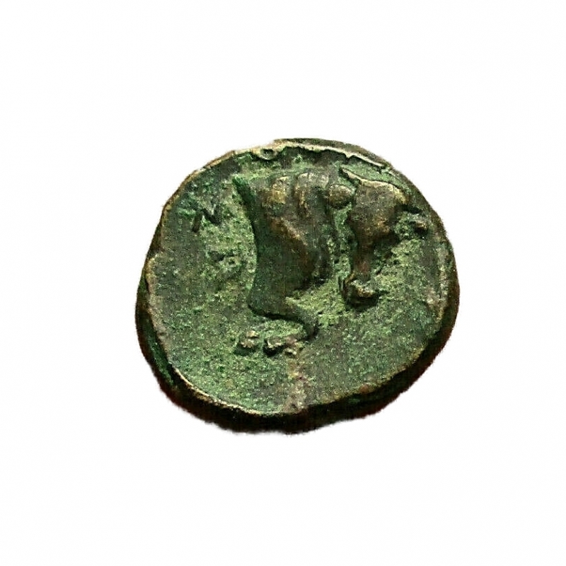 reverse: Mondo Greco. Lucania, Thourioi 280-213 a.C.