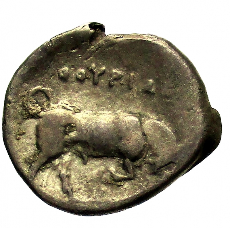 reverse:  Mondo Greco. Lucania, Thourioi  400-350 a.C. Triobolo  