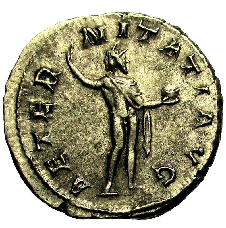 reverse: Impero Romano. Gordiano III. 238-244 d.C.