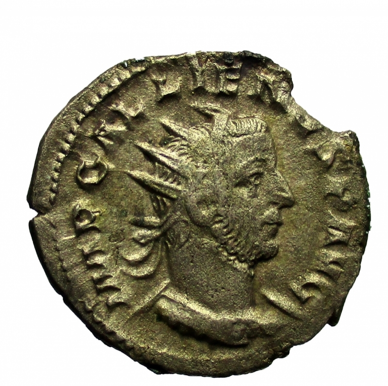 obverse: Impero Romano. Gallieno. 253-268 d.C. Antoniniano 