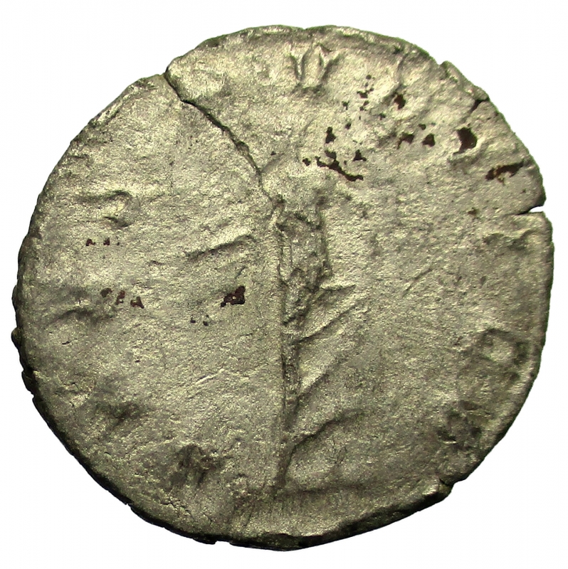 reverse: Impero Romano. Salonino 258-260 d.C. 