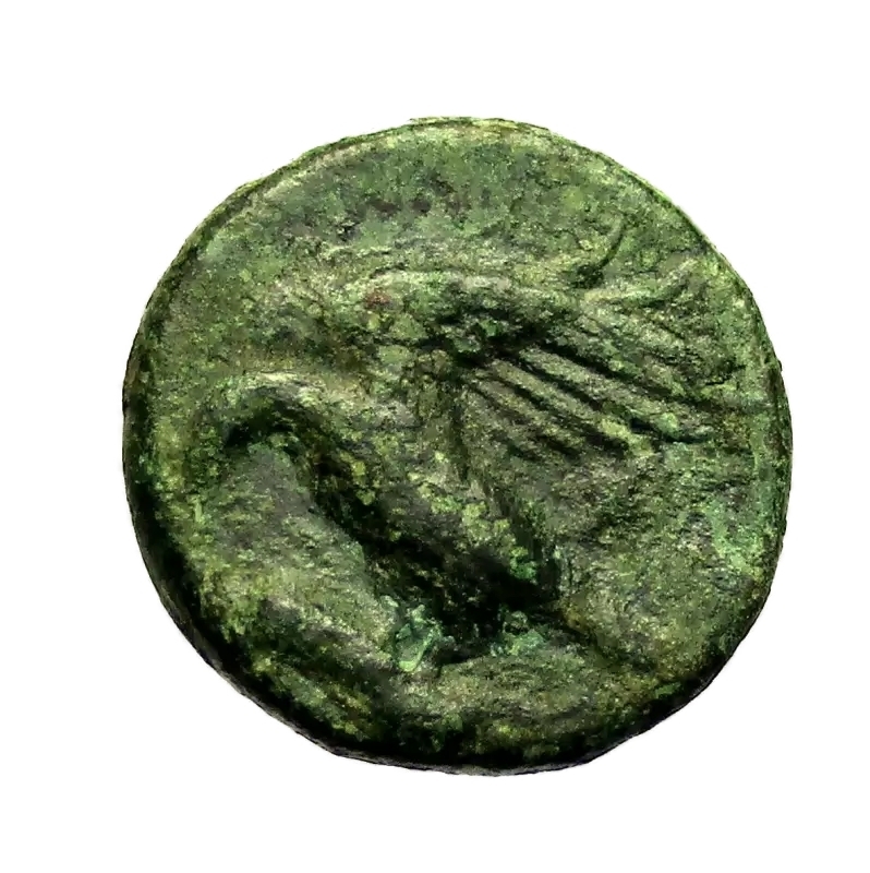 reverse: Mondo Greco, Sicilia  Akragas. Tiranno Phintias. 287-279 a.C.