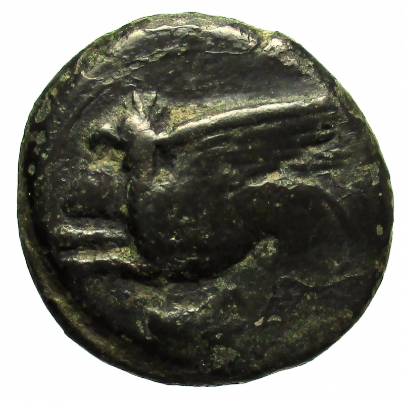 obverse: Mondo Greco. Sicilia Kainon. 367-357 a.C.