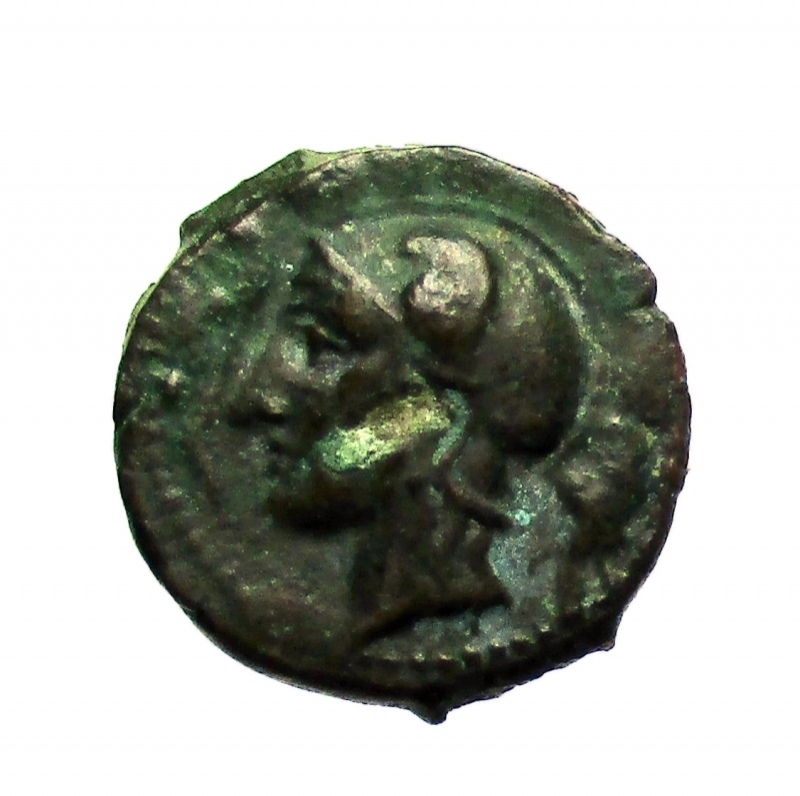 obverse: Mondo Greco. Sicilia. Kamarina. 413-405 a.C. Tetras Ae