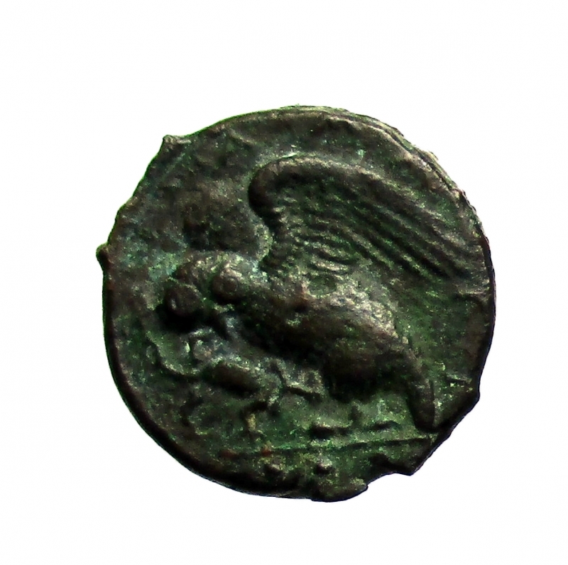reverse: Mondo Greco. Sicilia. Kamarina. 413-405 a.C. Tetras Ae