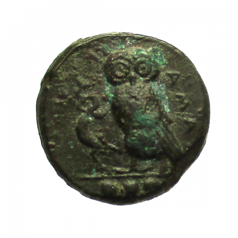 reverse: Mondo Greco. Sicilia. Kamarina. 413-405 a.C.