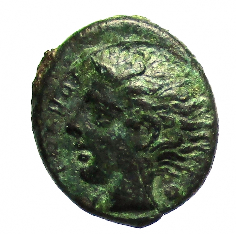 obverse: Mondo Greco. Sicilia. Katane. ca 405-402 a.C.