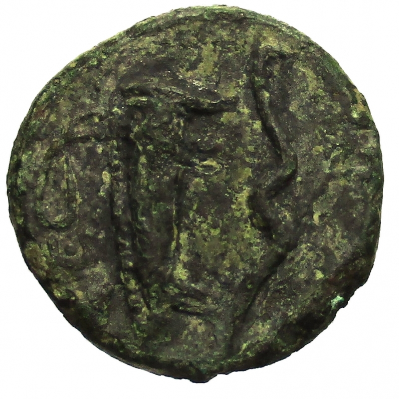 reverse: Mondo Greco. Sicilia Selinos 415-409 a.C. Ae Emilitra