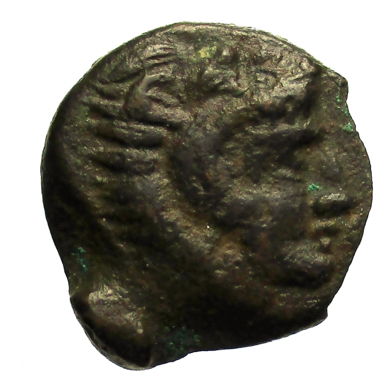 obverse: Mondo Greco. Sicilia Solus.  400-350 a.C.